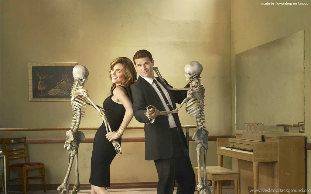 Bones Wallpapers   Bones Wallpapers (30636199)   Fanpop