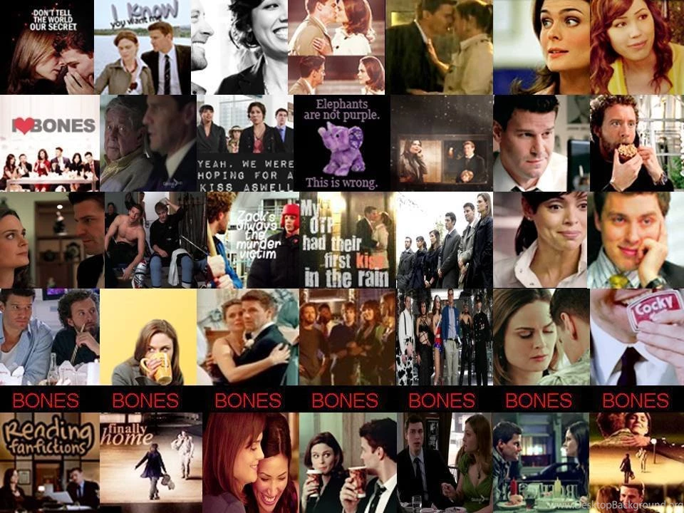 Bones Wallpapers   Bones Wallpapers (16449560)   Fanpop