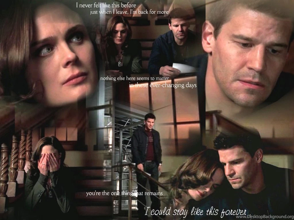 BB Art Wallpapers Booth And Bones Wallpapers (3216463) Fanpop