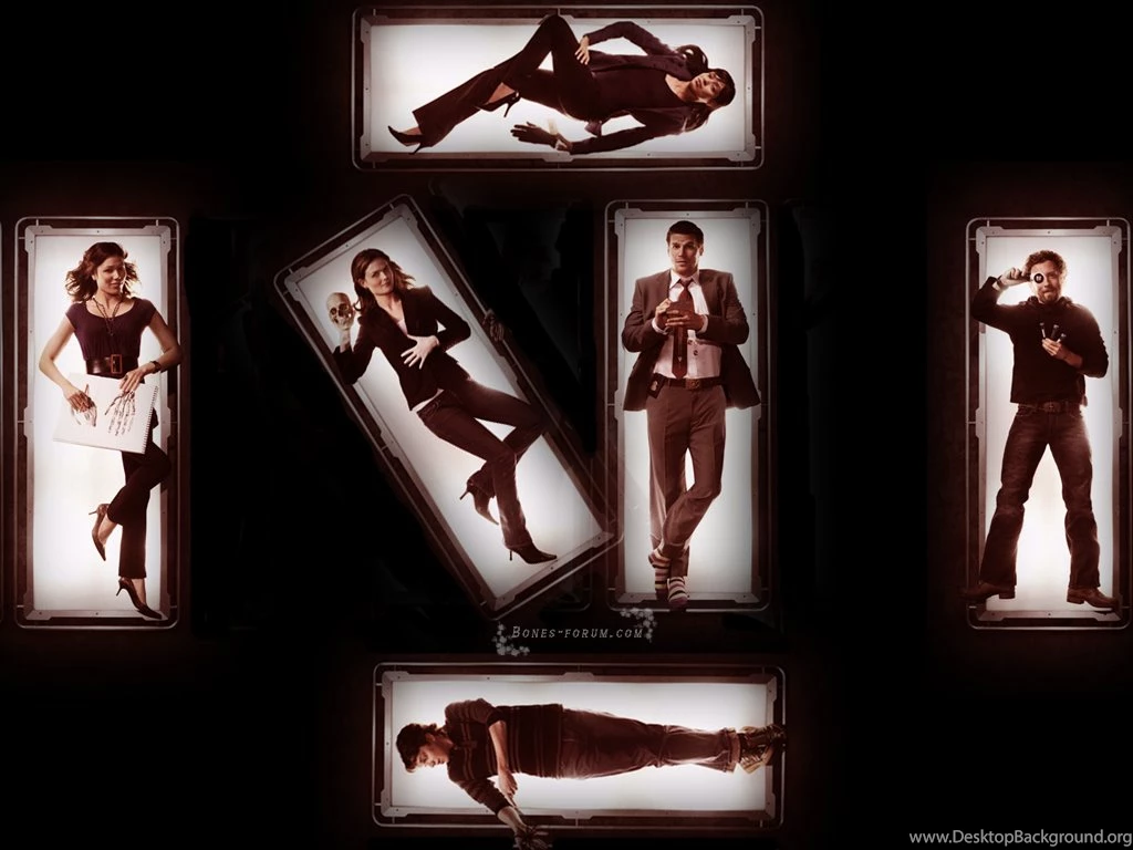 Bones'   Bones Wallpapers (4835932)   Fanpop