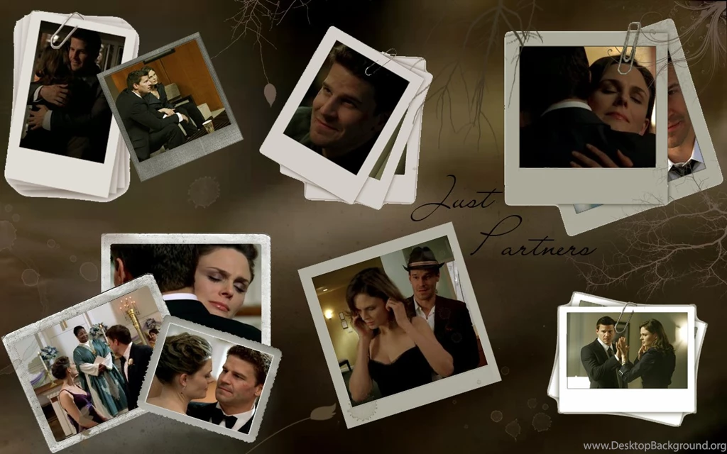 Bones   Bones Wallpapers (22363099)   Fanpop