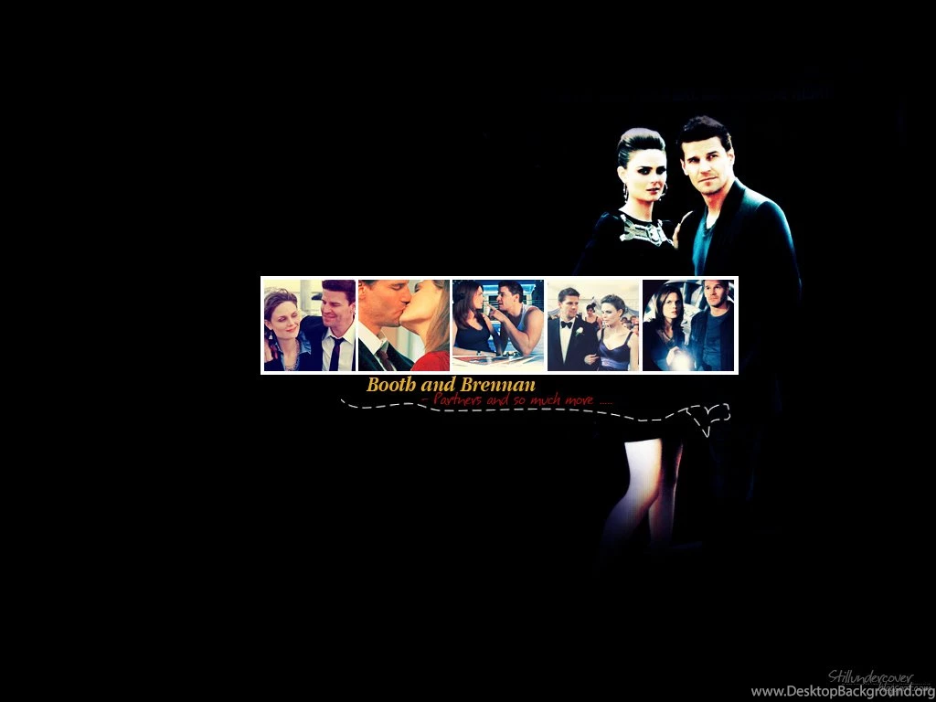 Bones   Bones Wallpapers (1287562)   Fanpop