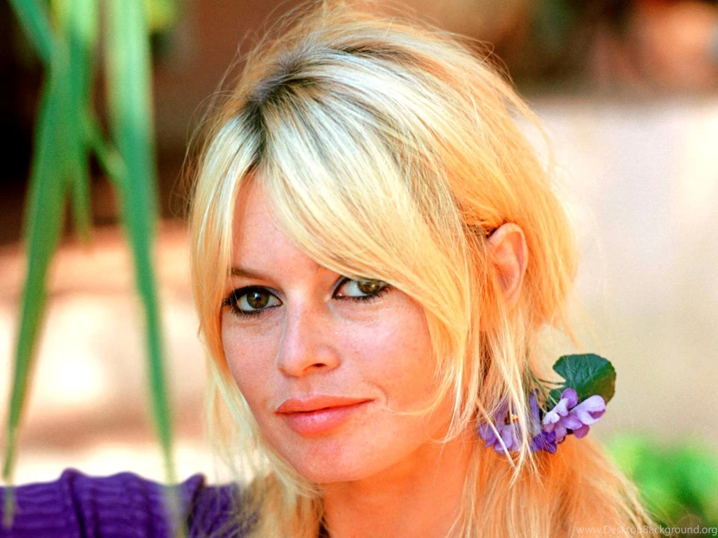 Wallpapers Brigitte Bardot Celebrities Image