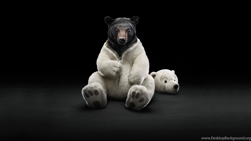 Funny Backgrounds Wallpapers