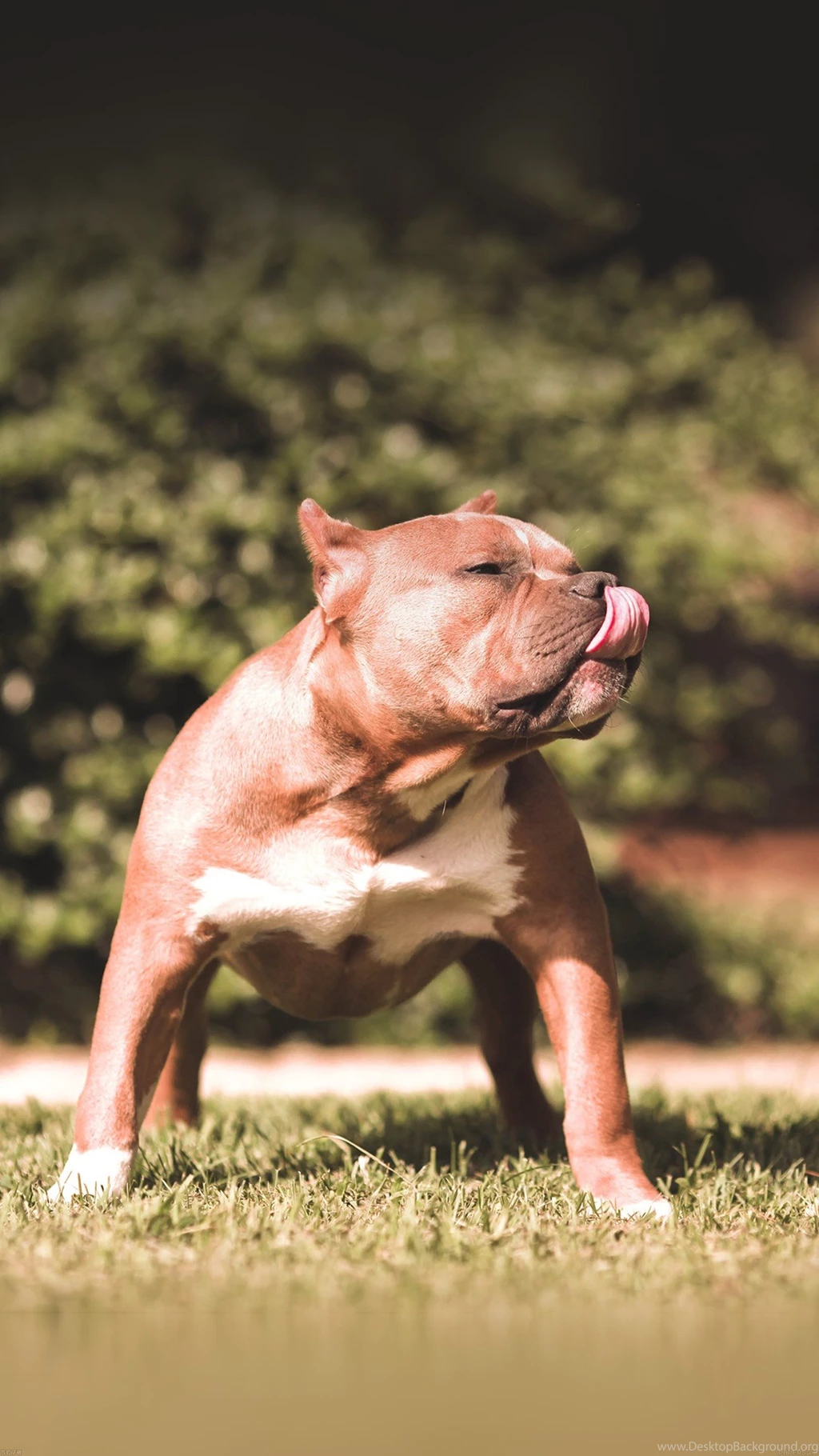 Guys ▶ Here Are Cool Iphone 6 Plus Wallpapers   Fashion Blog