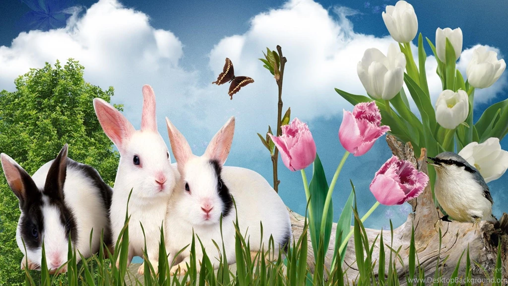 Easter Rabbits Wallpapers