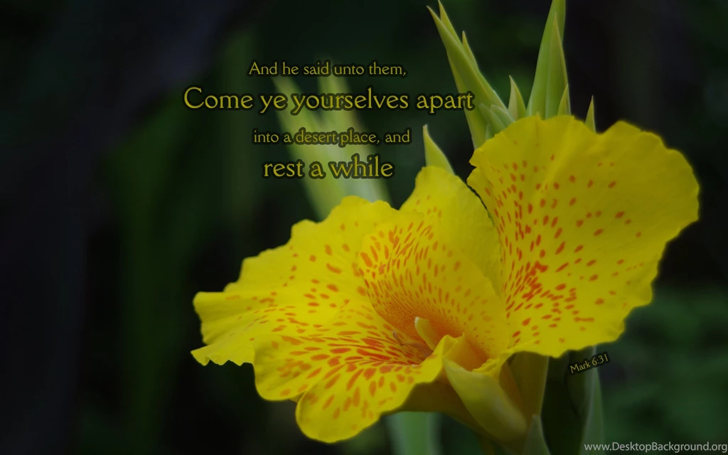 Free Bible Desktop Backgrounds Nature And Bible