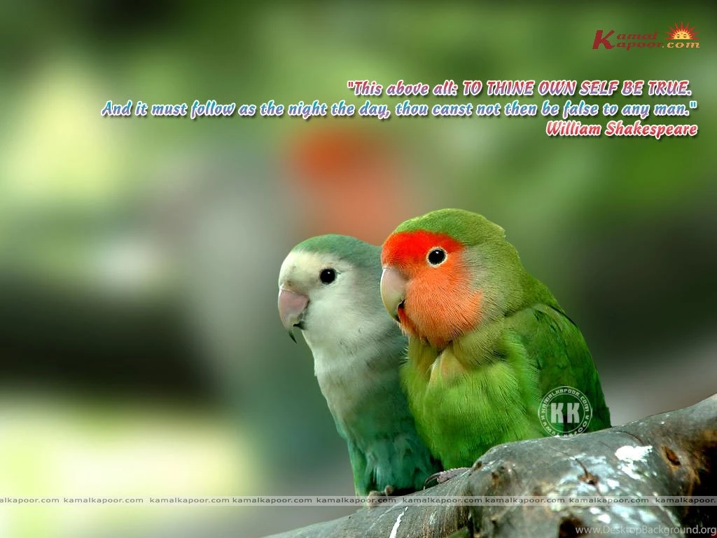 Fact Quotation Wallpapers, Quote Computer Wallpapers, Fact ...