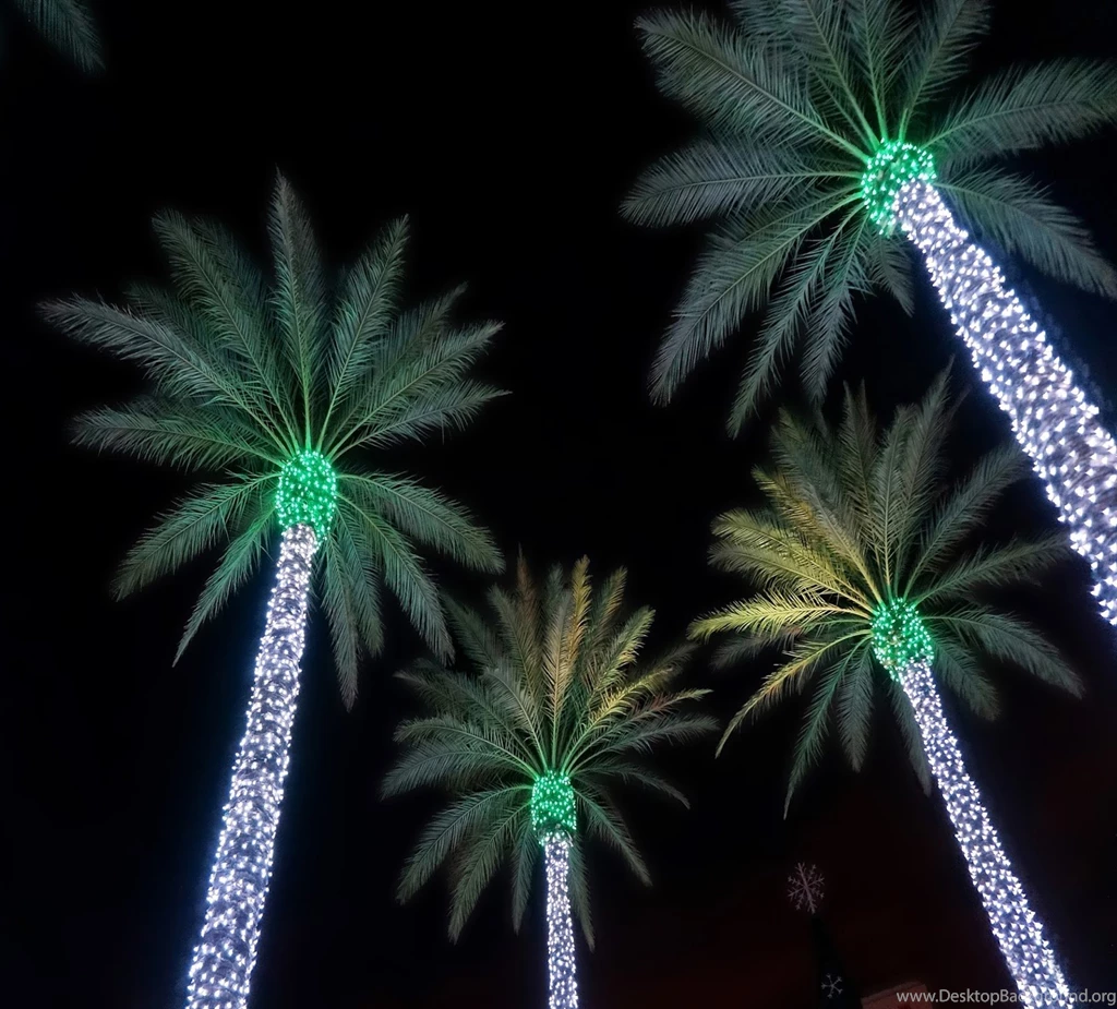 Merry Christmas Wallpapers (⊙.⊙(◉̃_᷅◉)⊙.⊙) For Whatsapp ...