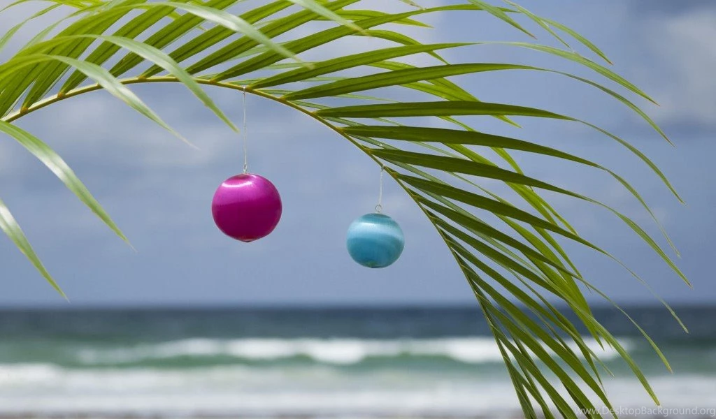 Beach Christmas Tree Wallpapers Free Desktop