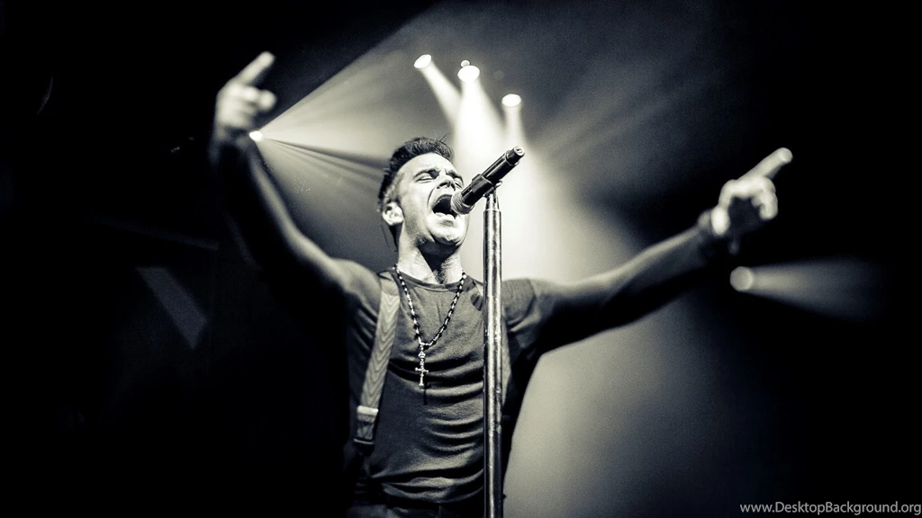 Robbie Williams Robbie Williams Musician Singer Concerto ...
