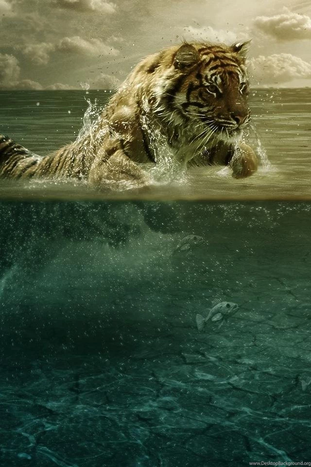 iPhone 4 Wallpapers