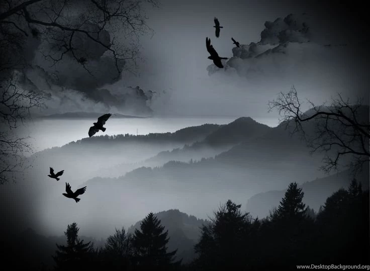 Dark Crows Over The Forrest Wallpapers From Dark Wallpapers Would ...