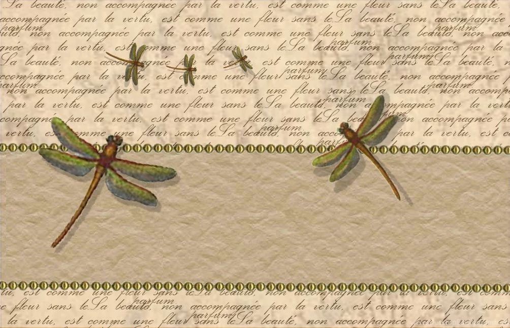 Dragonfly Wallpapers Collection (45+)
