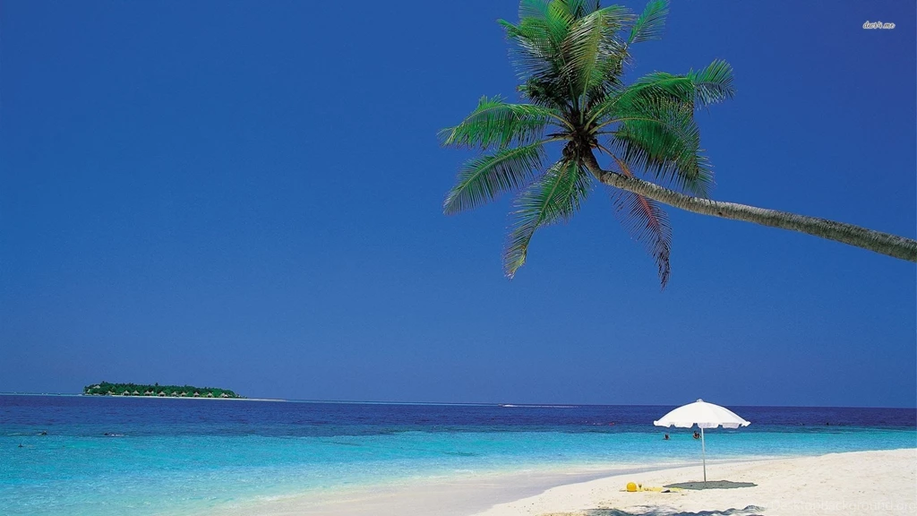 Palm Tree On Caribbean Shore, Umbrella, Sand, Sea, Island, Sky ...