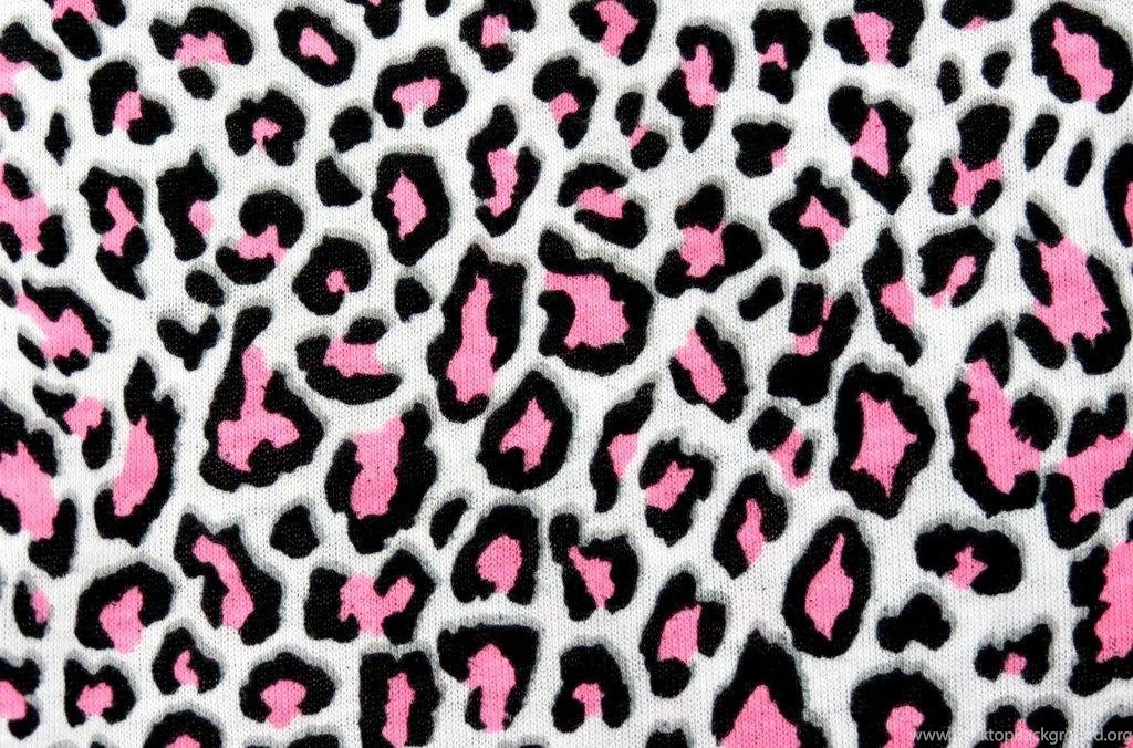 1000+ Ideas About Cheetah On Pinterest