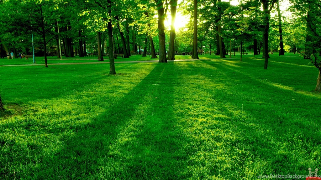 Widescreen hd desktop.jpeg