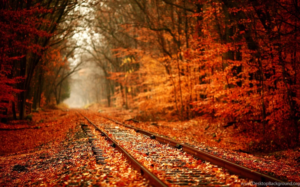 Images Of Autumn