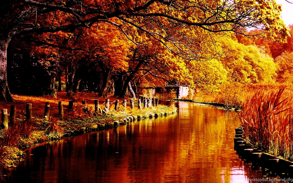 Images Of Autumn