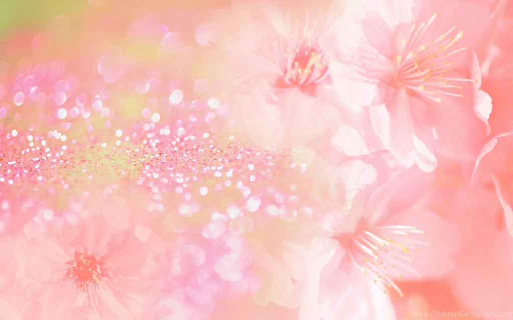 Pink Flower Wallpaper Backgrounds Wallpapers Cave