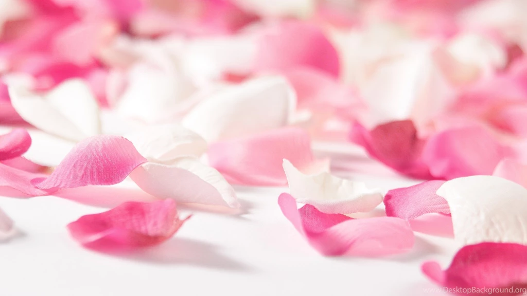 Pink Flowers Wallpapers