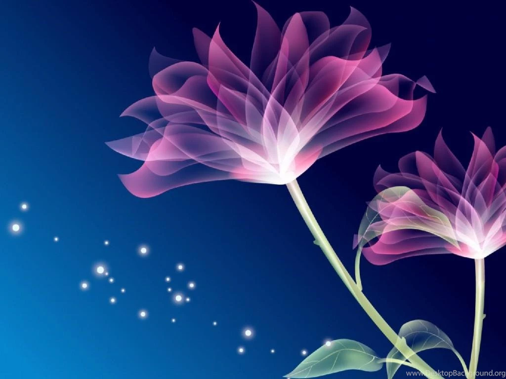 Wallpapers For Colorful Flower Wallpapers Designs