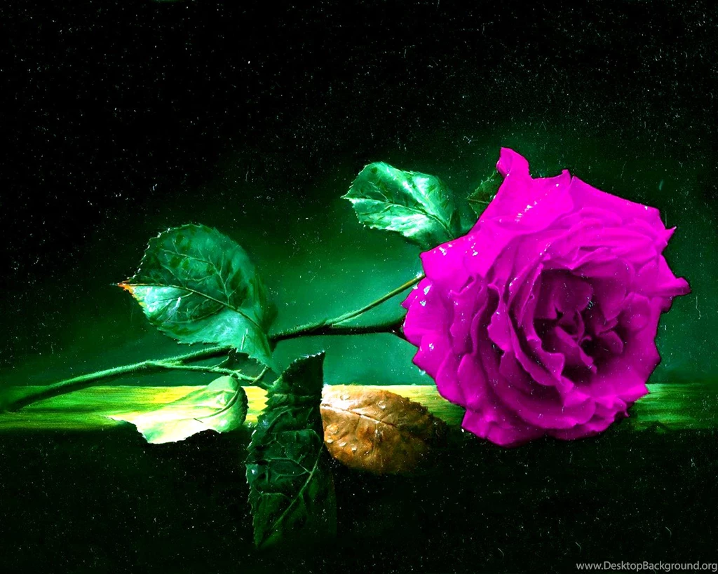 Cool Designs Wallpapers Photos 6075h Wallpapers HD Fix