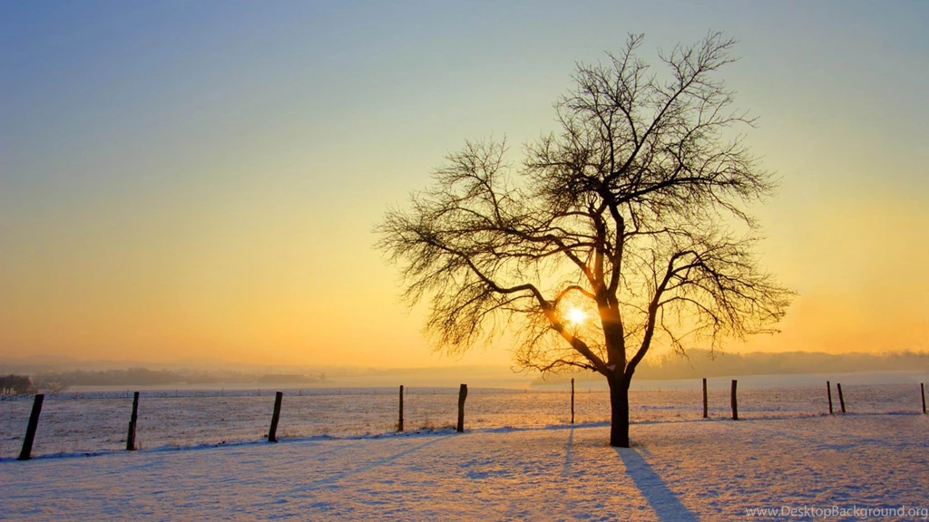 The Nature Sunset Scenery Of Winter Backgrounds Widescreen And HD ...