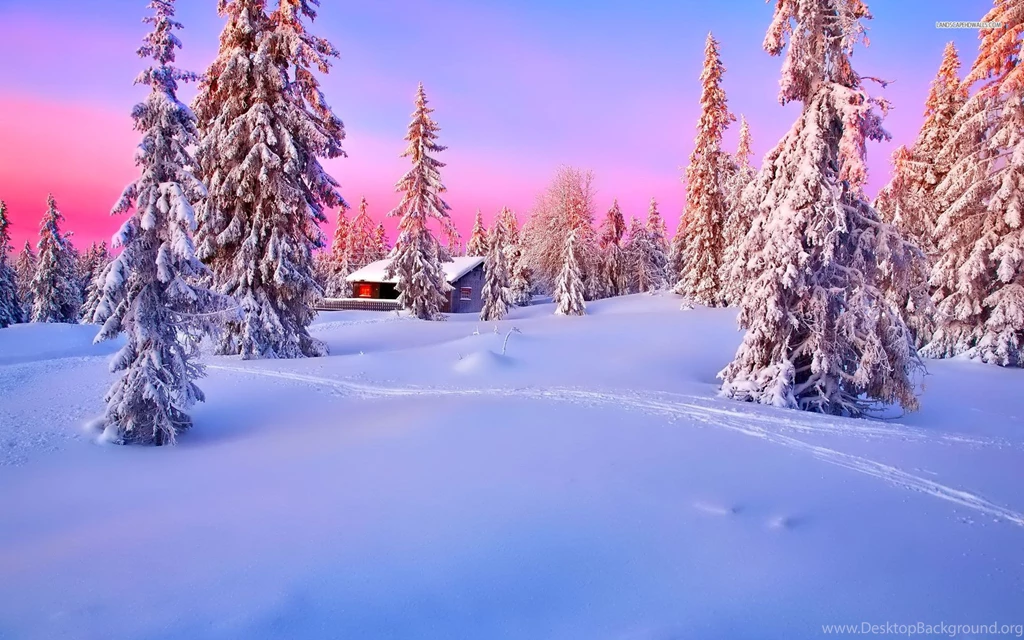 Cabin In The Winter Woods, Forest, Tree, Snow, Nature, 1920x1200 ...