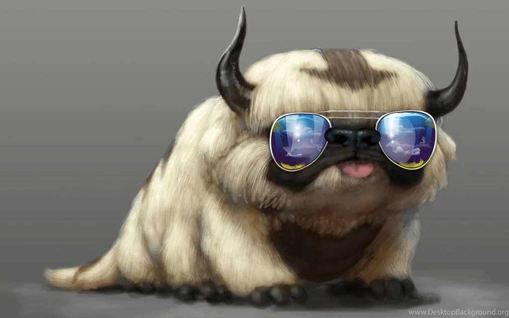 Cool Cat Or Dog ? Wallpaper,abstract HD Wallpaper,photography HD ...