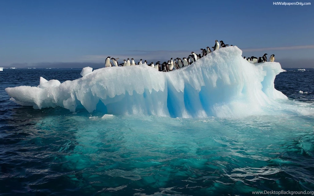 Download Free 120 Desktop Wallpapers For Widescreen   The Quotes Land