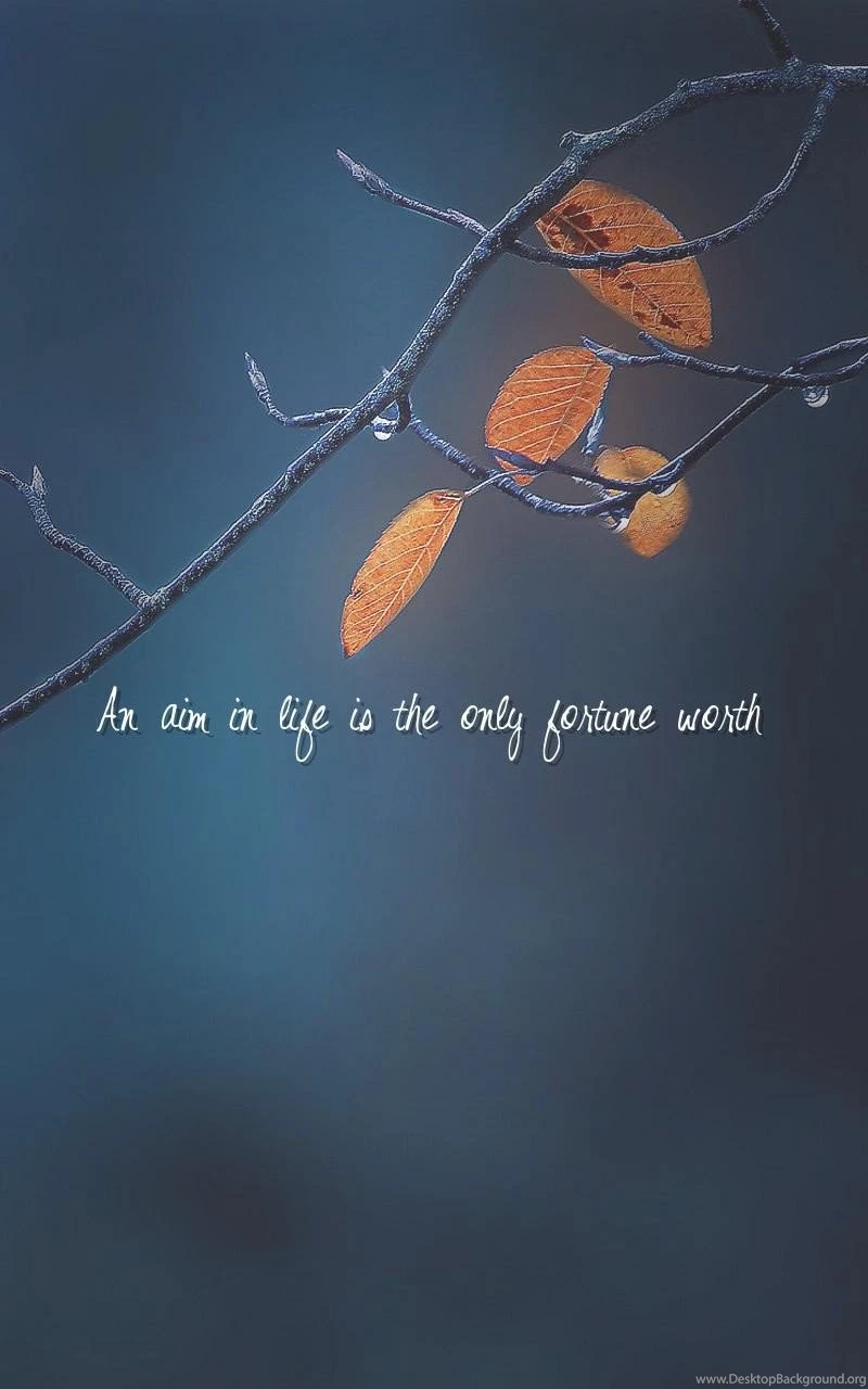 Life Philosophy, Life Changing Quotes Wallpapers An Aim In Life ...