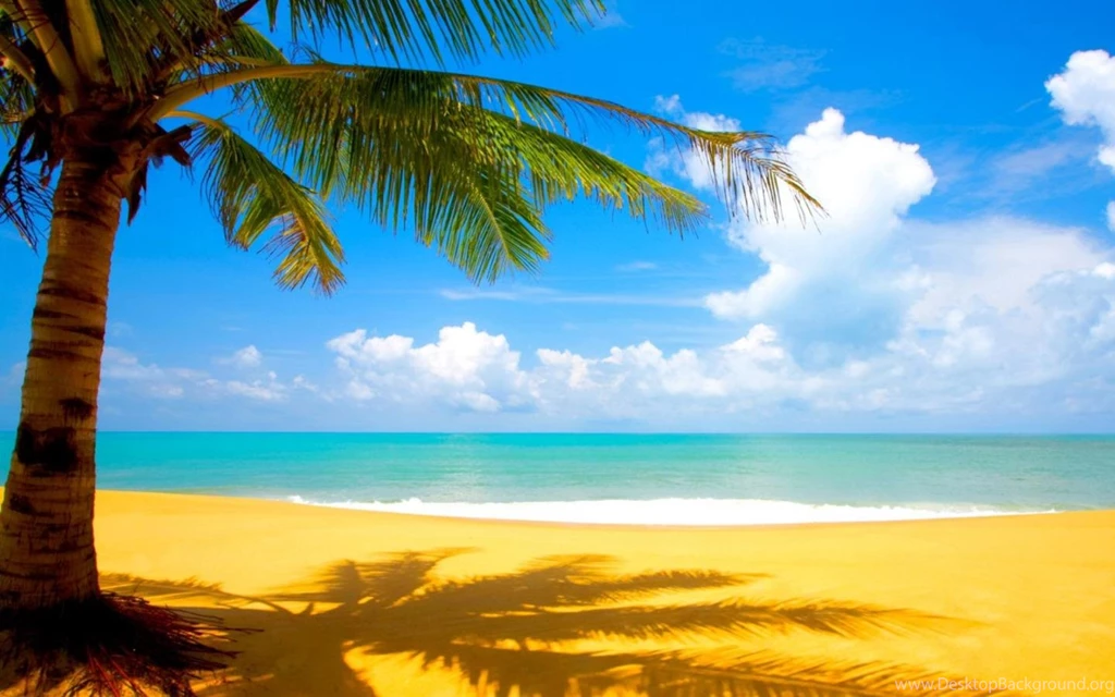 Beach Wallpapers HD [1440x900]   Free Wallpapers Full Hd 1080p, High ...