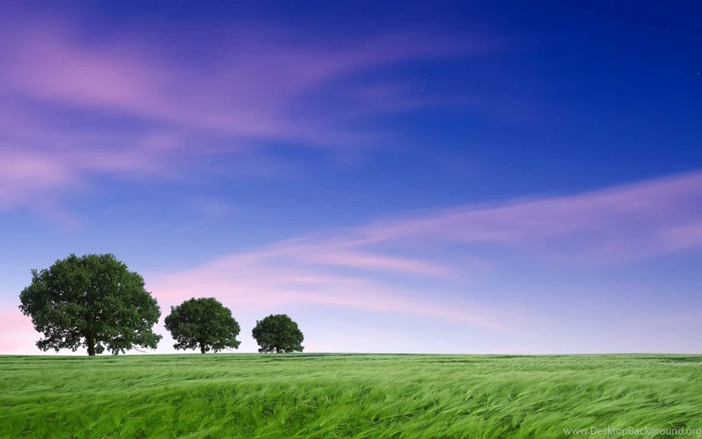 Theme Bin» Blog Archive » Out In The Fields HD Wallpapers