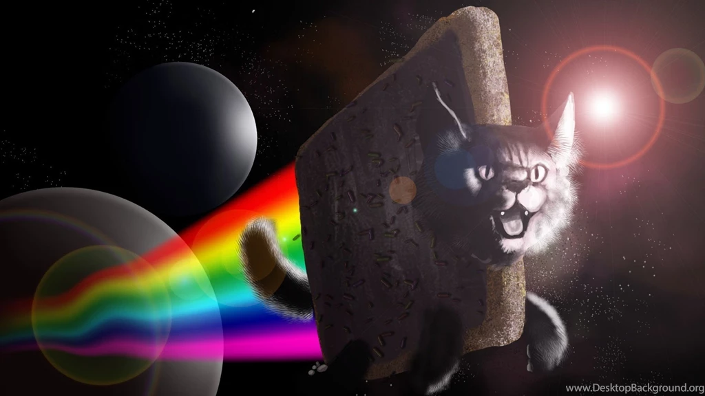 Business Cat Meme 5 Backgrounds Desktop Backgrounds Gallsource.com