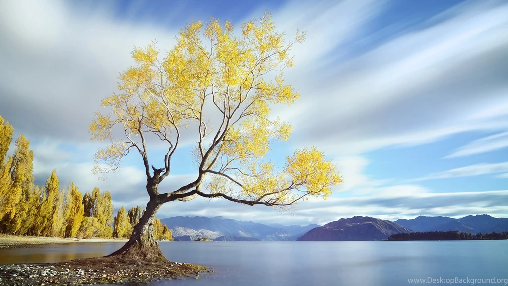 Nature Desktop Wide Wallpapers