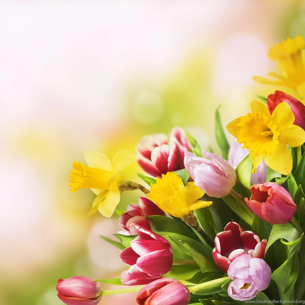Spring_Flowers_Background.jpg?m=1399676400