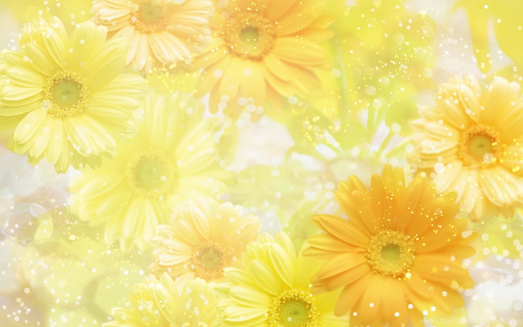 Flowers Backgrounds