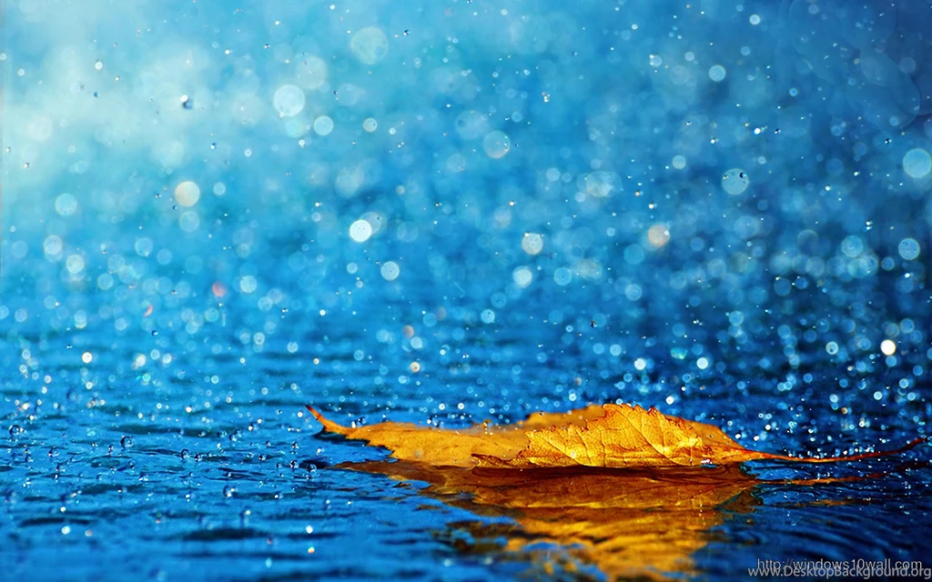 Wallpapers Image – Page 68 – Windows 10 Wallpapers