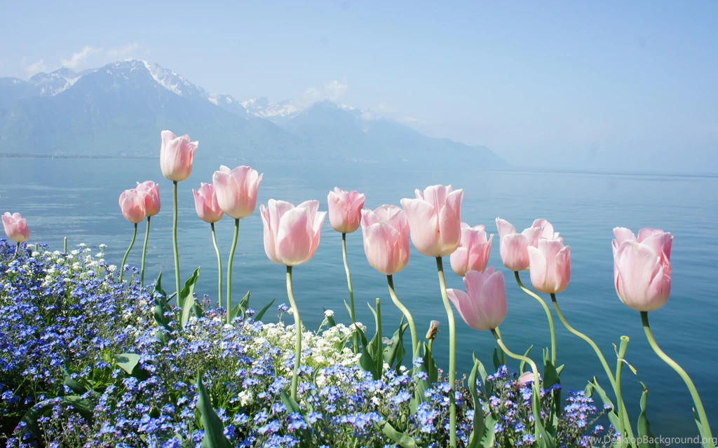 Incredibly Beautiful Mountain Views (