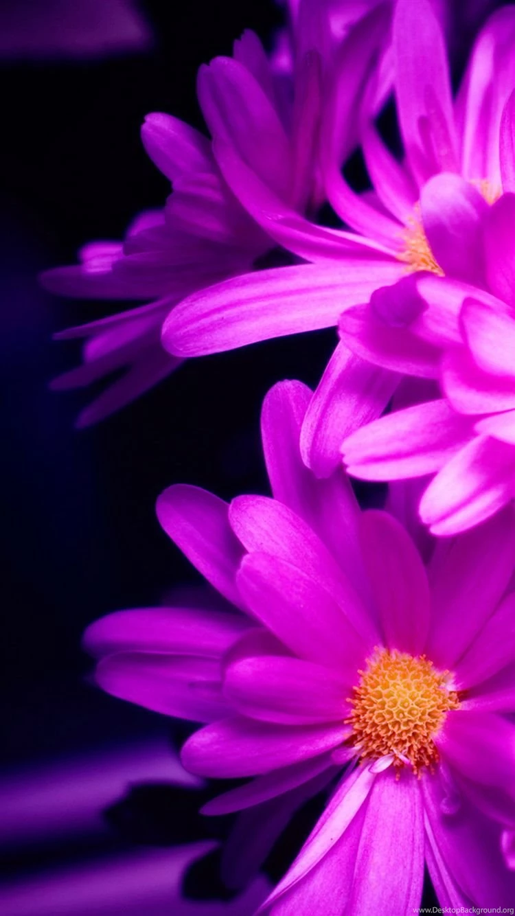 50+ Best HD Galaxy S6 And S6 Edge Wallpapers Download Graffies