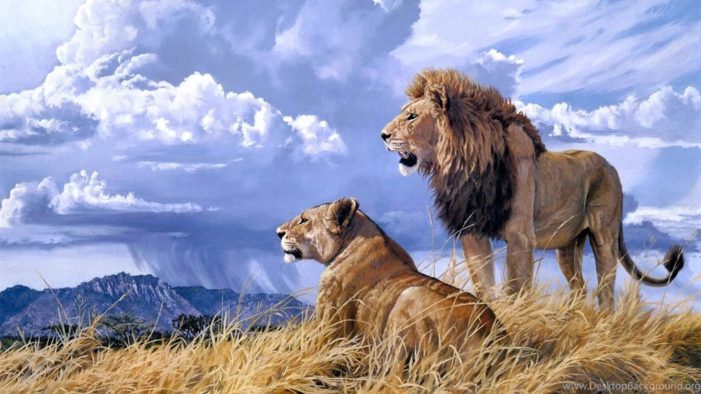 Free Lion Wallpapers Wallpapers Cave