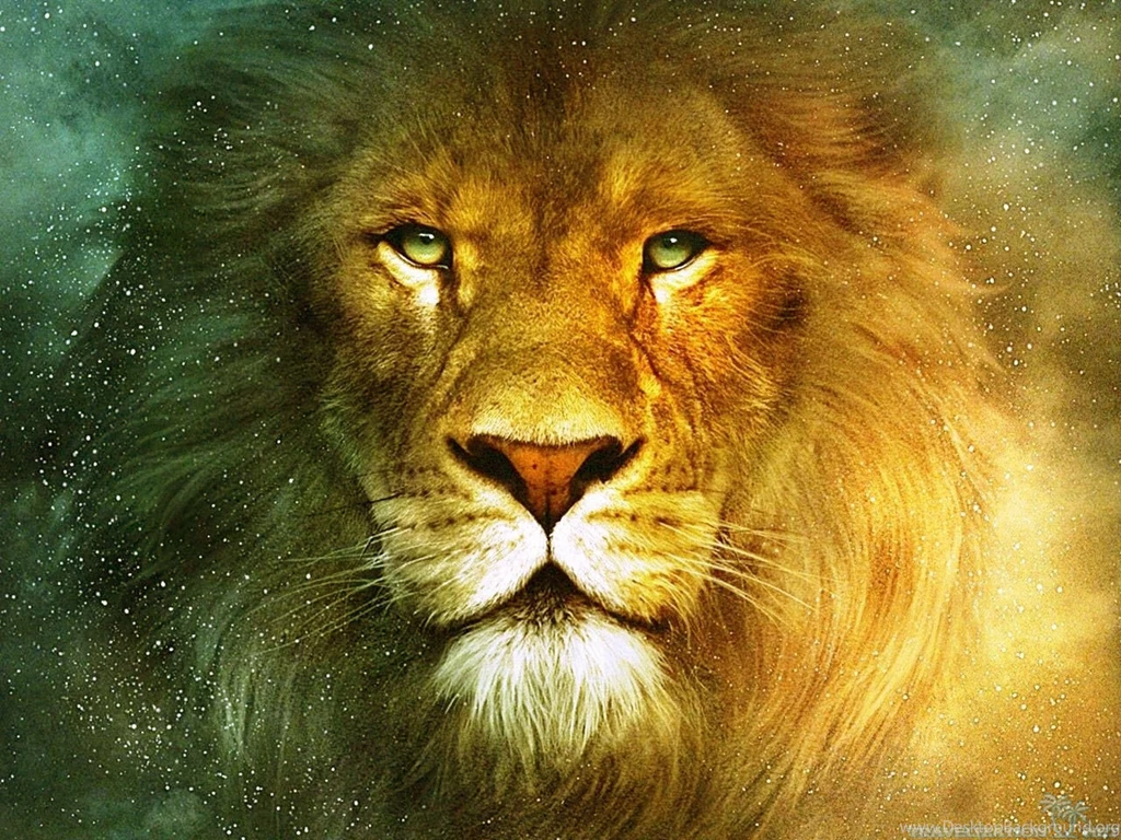 Lion Wallpapers