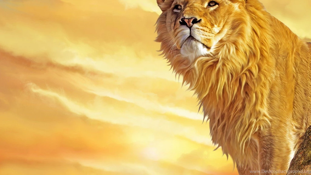 Lion Wallpapers Hd