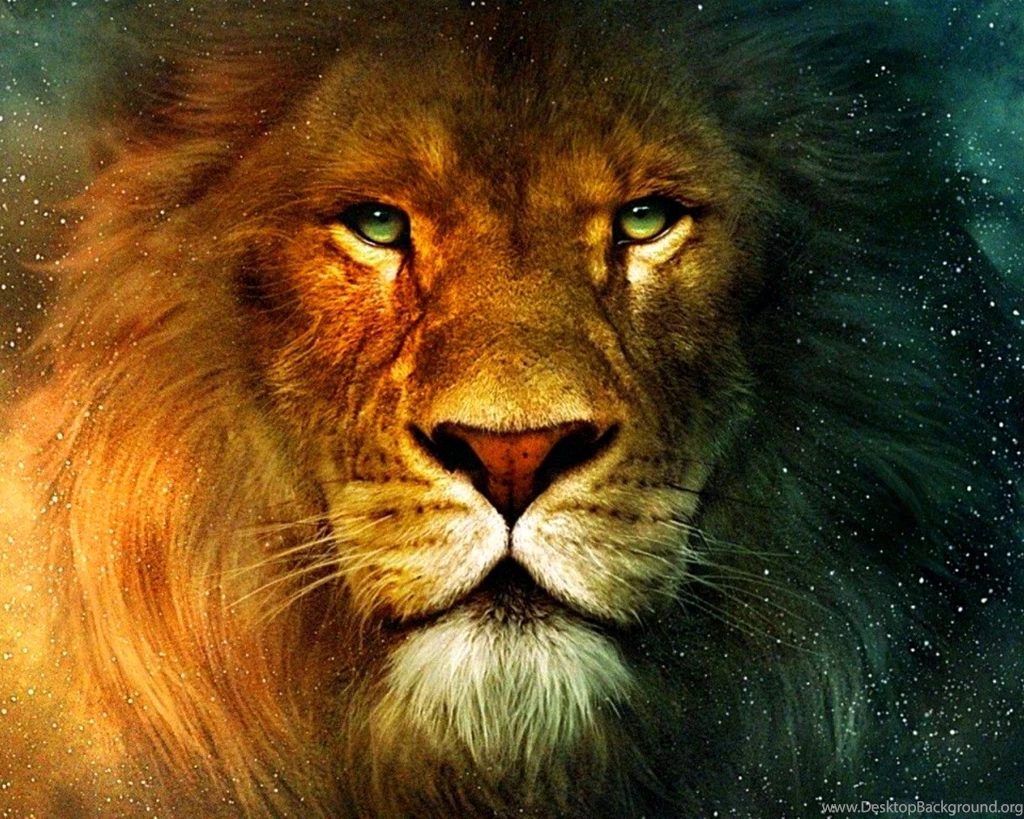 Download Aslan Lion Wallpapers 6427 1600x1280 Px High Resolution ...