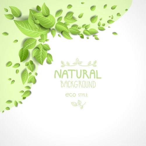 Beautiful Green Leaves Natural Backgrounds Vector 03   Vector ...