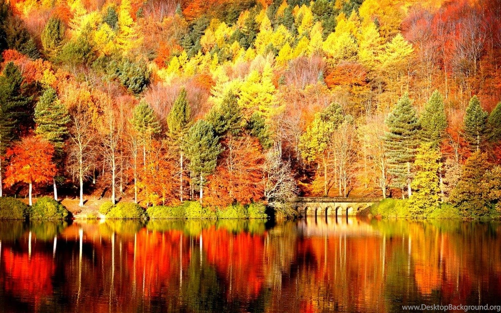 Fall Backgrounds For Computer