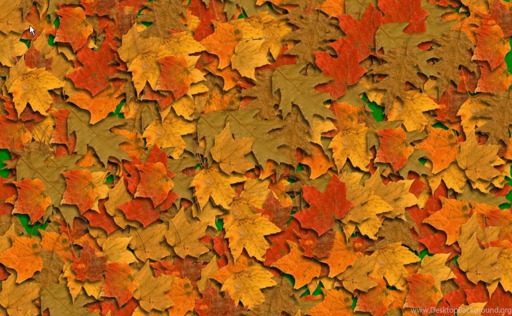 Fall Images For Backgrounds   Wallpapers Zone