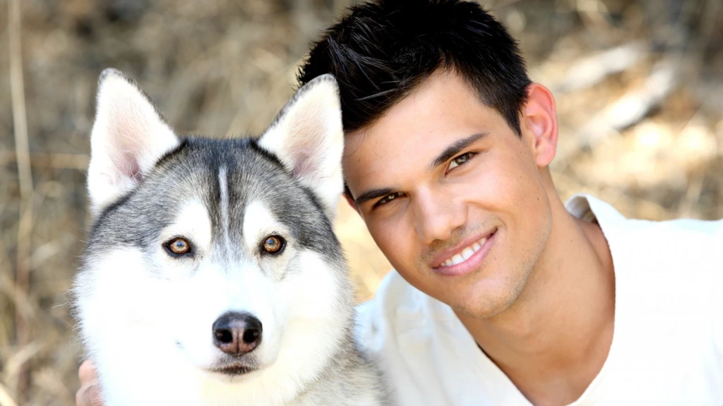 High Resolution Cool Celebrity Taylor Lautner Wallpapers HD 5 Full ...