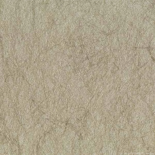 Rasch   Gentle Divine   Rasch Gentle Divine (215 990)   Select ...